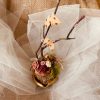 HD00048-Handmade Egg Shell Mini Garden
