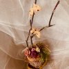 HD00048-Handmade Egg Shell Mini Garden - Image 4