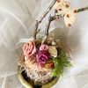 HD00048-Handmade Egg Shell Mini Garden - Image 5