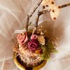 HD00048-Handmade Egg Shell Mini Garden - Image 2